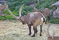 Schwarzwaldpark Löffingen